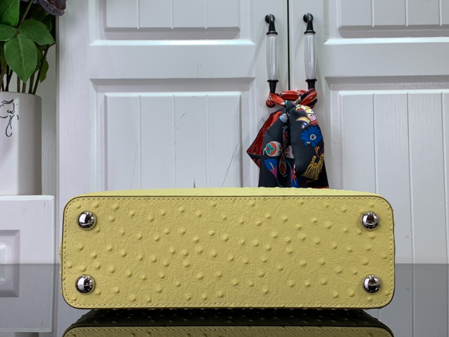 루이비통 타조 가죽 숄더백 N93419 94519 3사이즈 옐로우 LOUIS VUITTON12.jpg