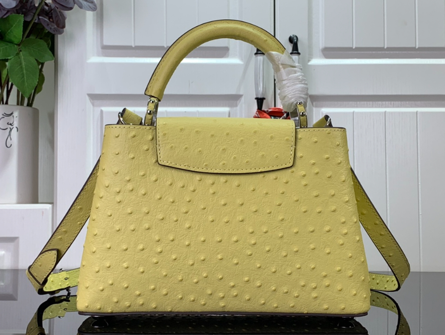 루이비통 타조 가죽 숄더백 N93419 94519 3사이즈 옐로우 LOUIS VUITTON10.jpg