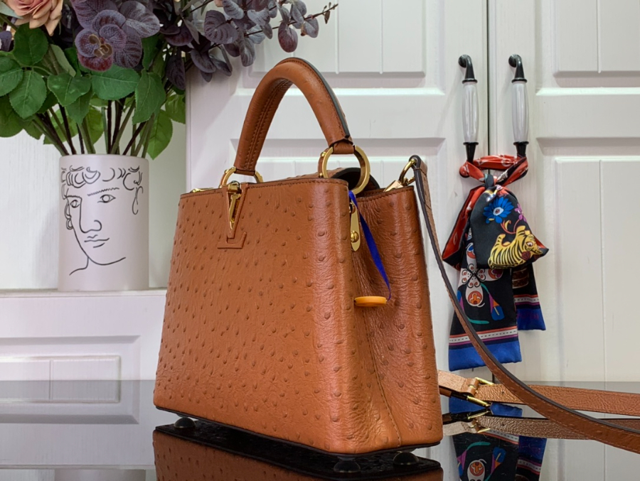 루이비통 카퓌신 스몰 타조무늬 27189cm M24714 브라운4.jpg