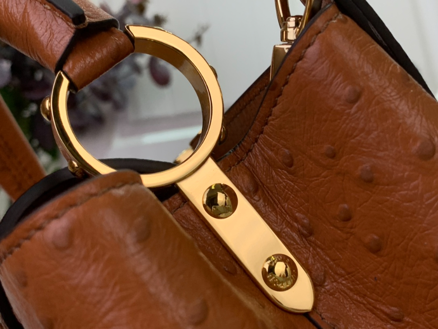 루이비통 카퓌신 스몰 타조무늬 27189cm M24714 브라운7.jpg