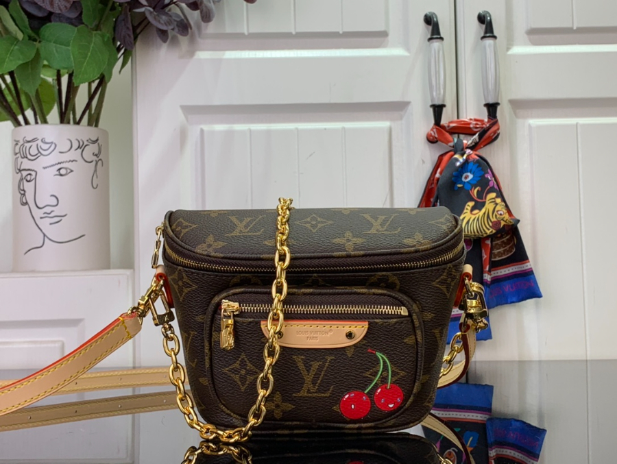 루이비통 LV x TM 미니 범백 M13449 17129.5cm1.jpg