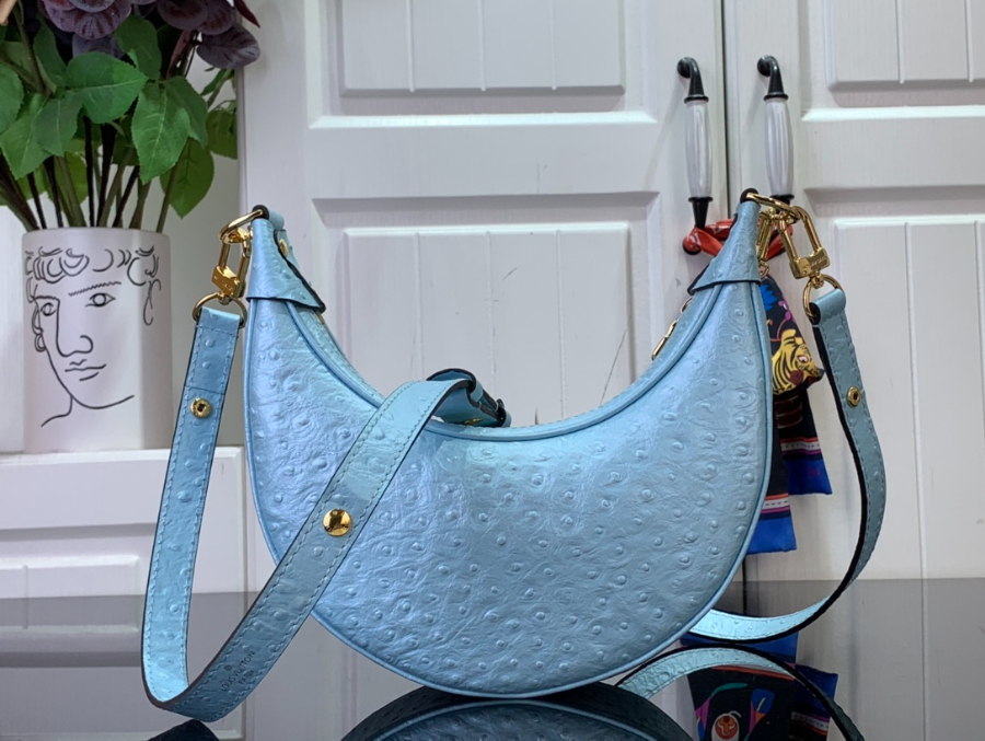 루이비통 루프 호보백 스카이 블루 N85900 23136cm2.jpg