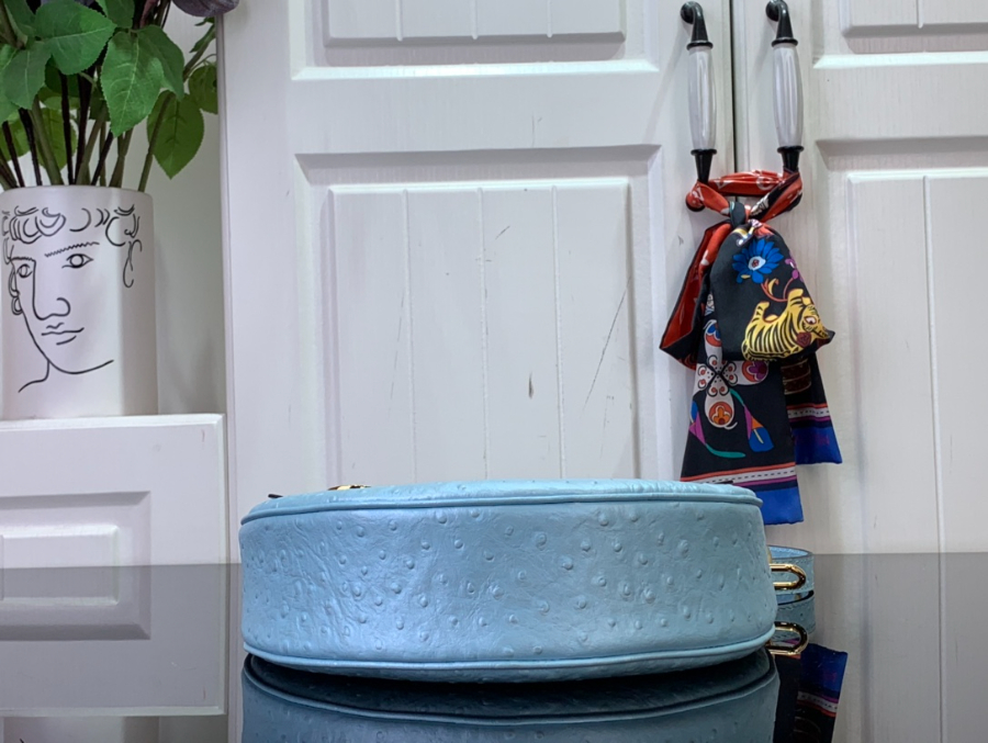 루이비통 루프 호보백 스카이 블루 N85900 23136cm4.jpg