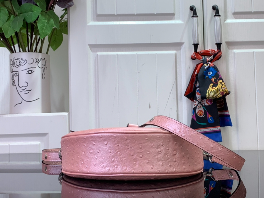 루이비통 루프 호보백 핑크 N85900 23136cm4.jpg