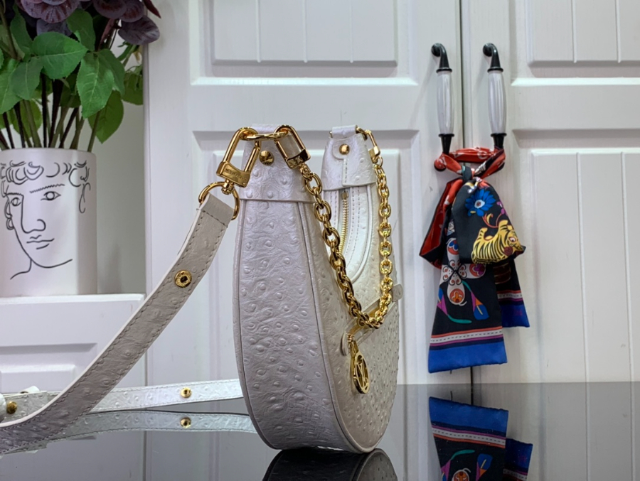 루이비통 루프 호보백 화이트 N85900 23136cm3.jpg