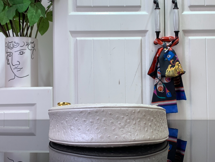 루이비통 루프 호보백 화이트 N85900 23136cm4.jpg