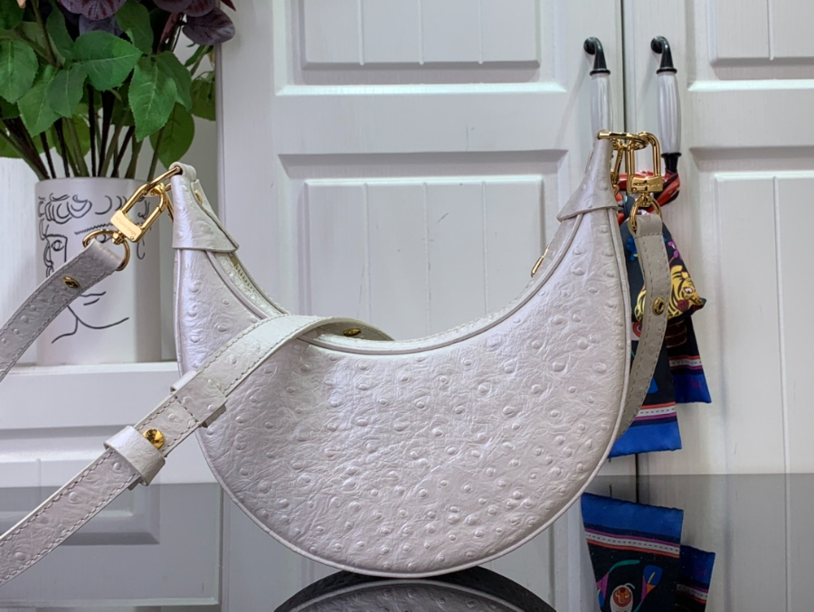 루이비통 루프 호보백 화이트 N85900 23136cm2.jpg