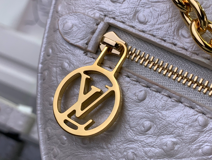 루이비통 루프 호보백 화이트 N85900 23136cm6.jpg