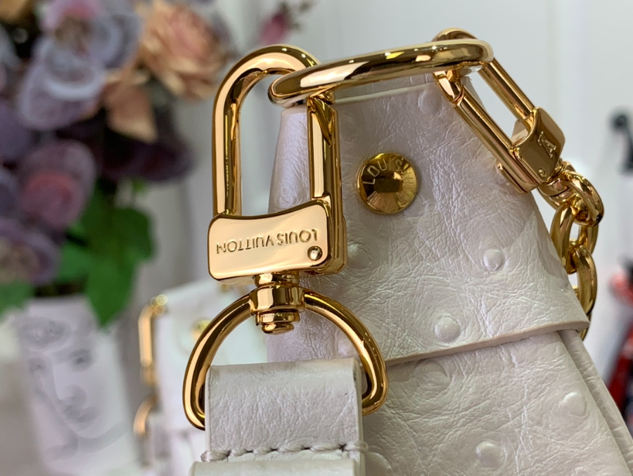 루이비통 루프 호보백 화이트 N85900 23136cm8.jpg