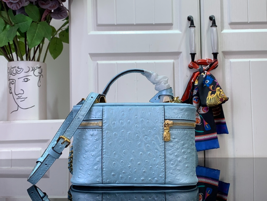 루이비통 베니티 체인 파우치 스카이 블루 N85820 1911.56.5cm2.jpg