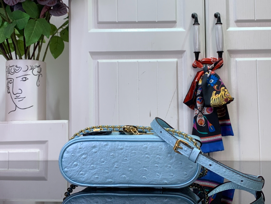 루이비통 베니티 체인 파우치 스카이 블루 N85820 1911.56.5cm4.jpg