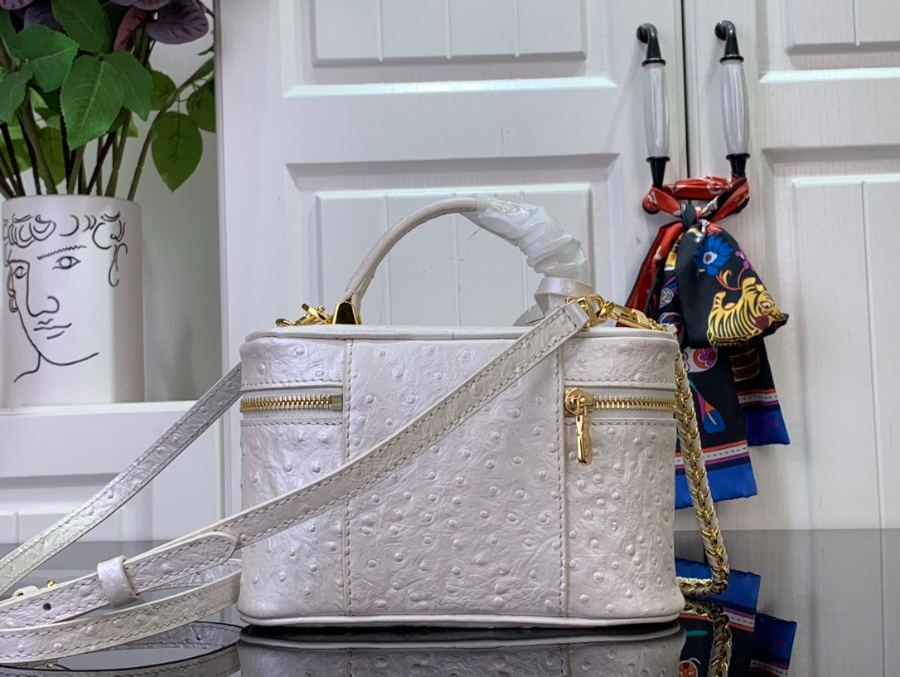 루이비통 베니티 체인 파우치 화이트 N85820 1911.56.5cm2.jpg