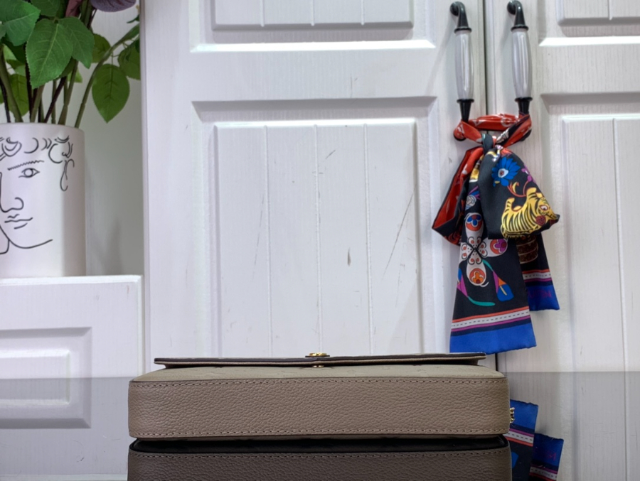 루이비통 펠리시 포쉐트 모노그램 앙프렝뜨 투르텔 베이지 M68697 21123cm5.jpg