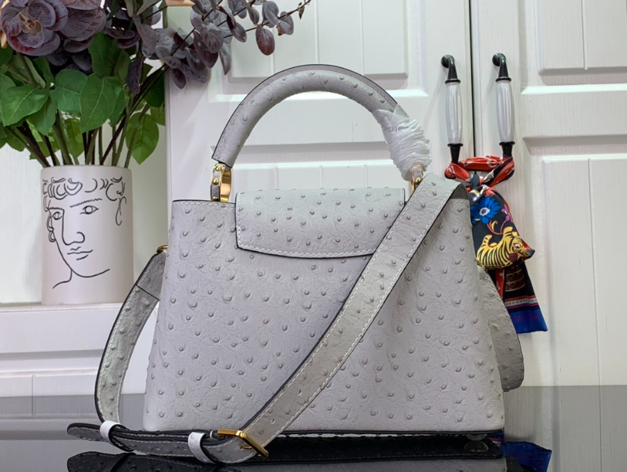 루이비통 타조 무늬 카퓌신 라이트 그레이 17.3927cm M119082.jpg