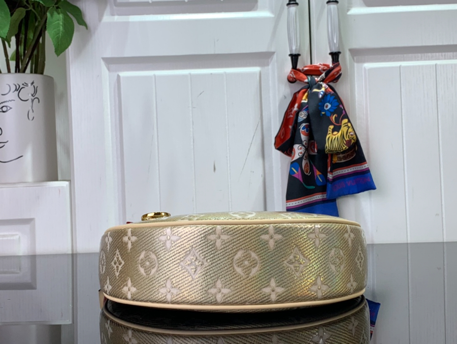 루이비통 루프 PM 숄더백 M22928 23136cm4.jpg