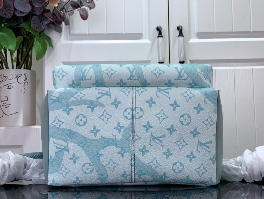 루이비통 디스커버리 백팩 스카이 블루 M22519 293820cm4.jpg