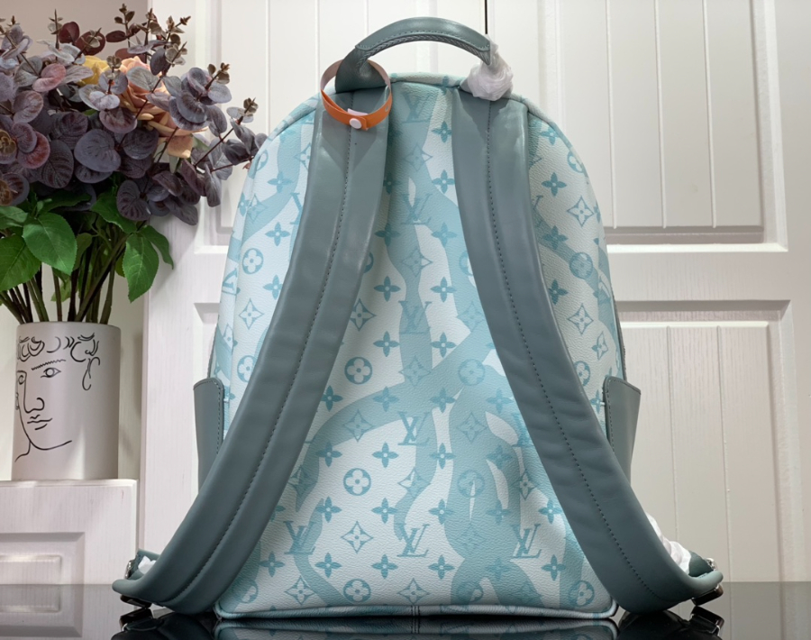 루이비통 디스커버리 백팩 스카이 블루 M22519 293820cm2.jpg