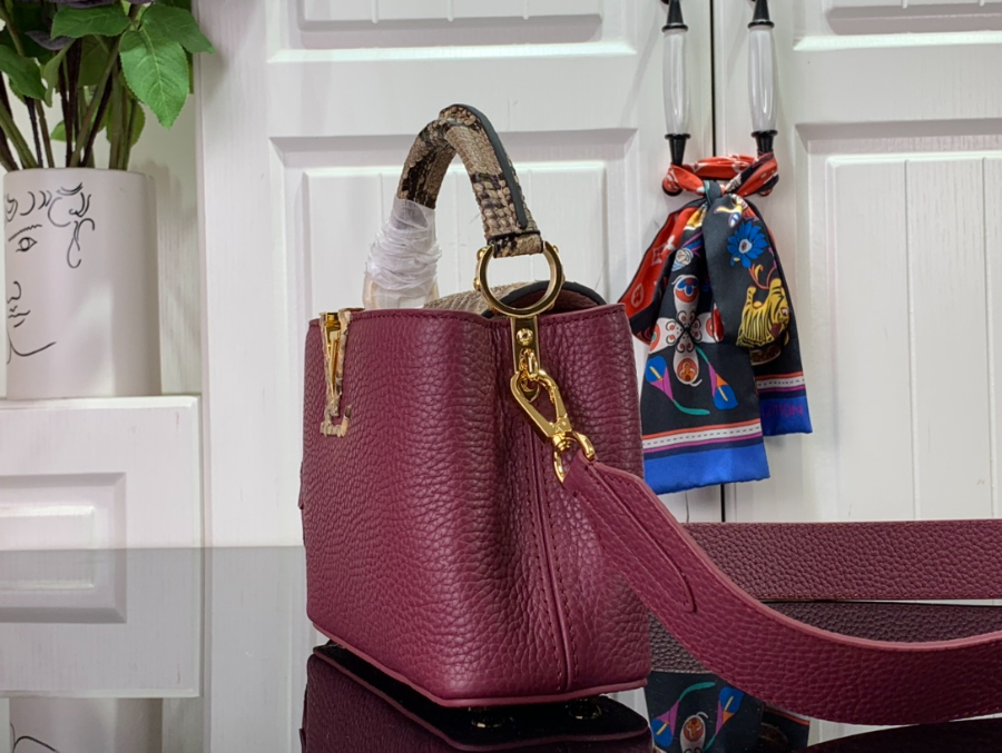 루이비통 카퓌신 미니 뱀무의 M56669 21148cm3.jpg