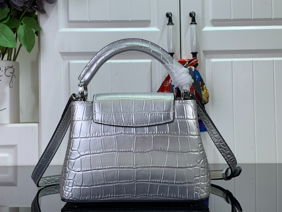 루이비통 카퓌신 BB 숄더백 N92175 4886 은색 사이즈12.jpg