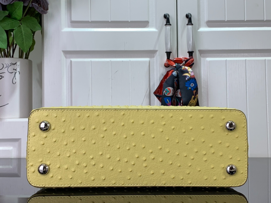 루이비통 타조 가죽 숄더백 N93419 94519 1사이즈 옐로우4.jpg