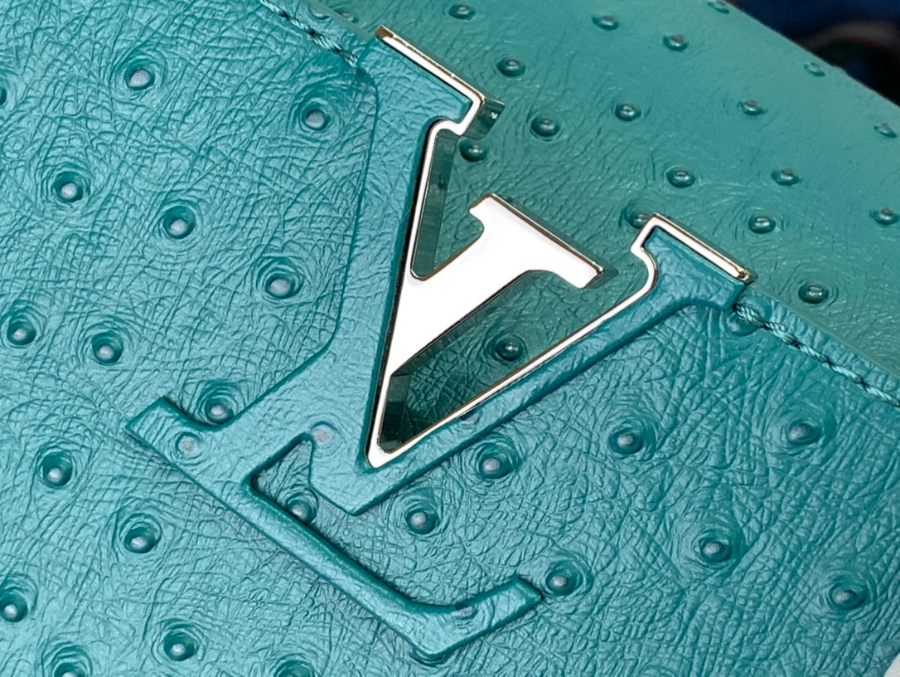 루이비통 타조 가죽 숄더백 N93419 94519 1사이즈 파보니누스6.jpg