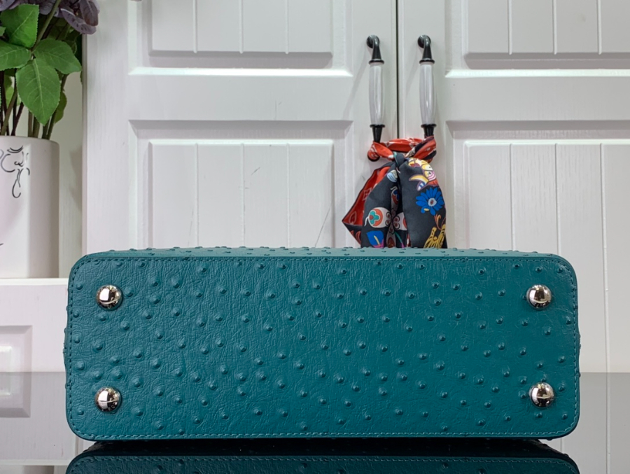 루이비통 타조 가죽 숄더백 N93419 94519 1사이즈 파보니누스4.jpg