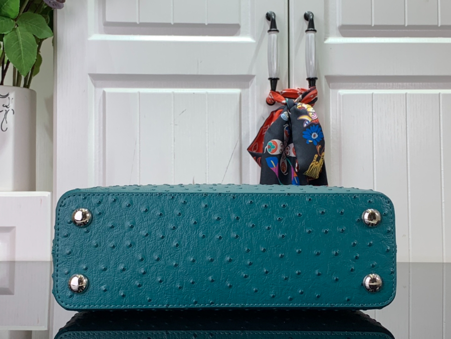 루이비통 타조 가죽 숄더백 N93419 94519 2사이즈 파보니누스4.jpg