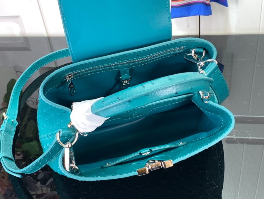 루이비통 타조 가죽 숄더백 N93419 94519 2사이즈 파보니누스5.jpg