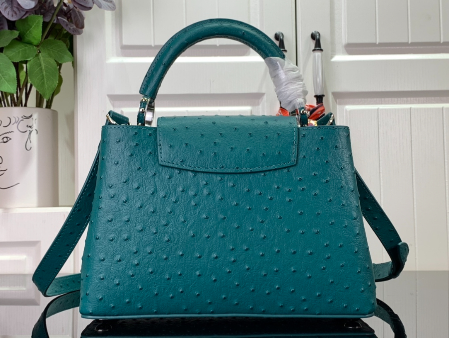 루이비통 타조 가죽 숄더백 N93419 94519 2사이즈 파보니누스2.jpg