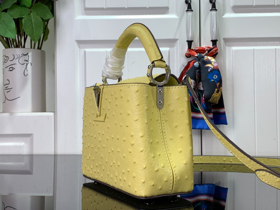 루이비통 타조 가죽 숄더백 N93419 94519 3사이즈 옐로우3.jpg