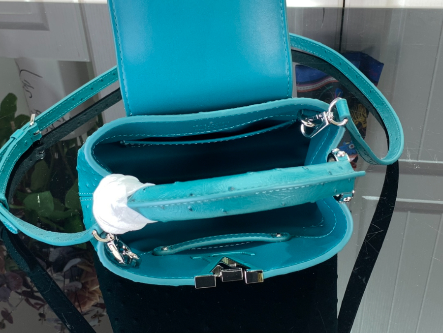 루이비통 타조 가죽 숄더백 N93419 94519 3사이즈 파보니누스5.jpg