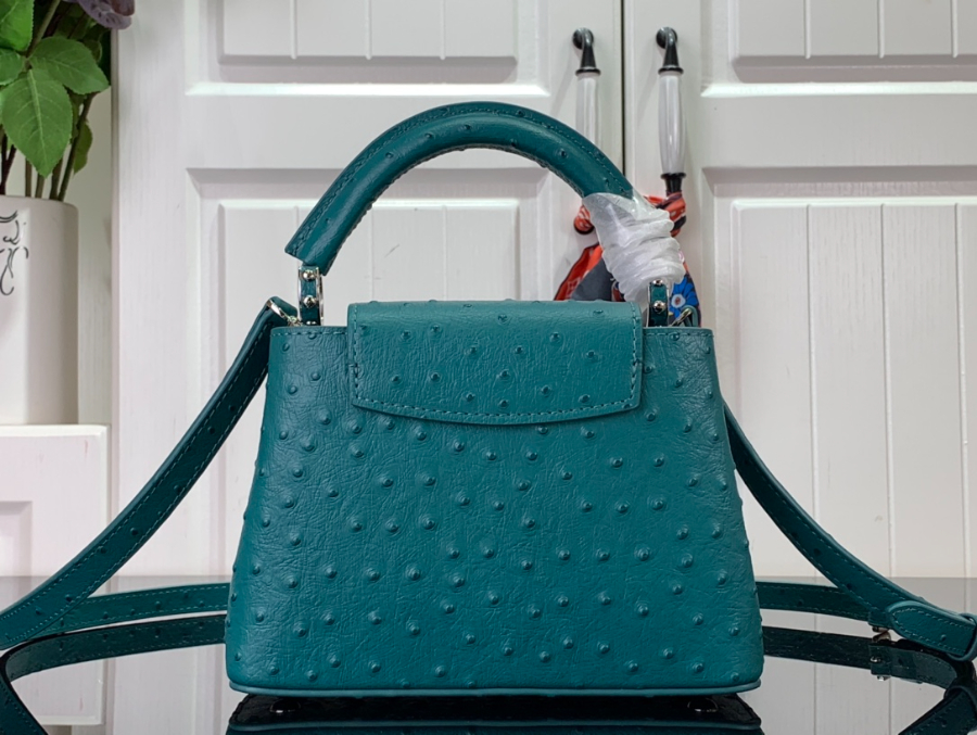 루이비통 타조 가죽 숄더백 N93419 94519 3사이즈 파보니누스2.jpg