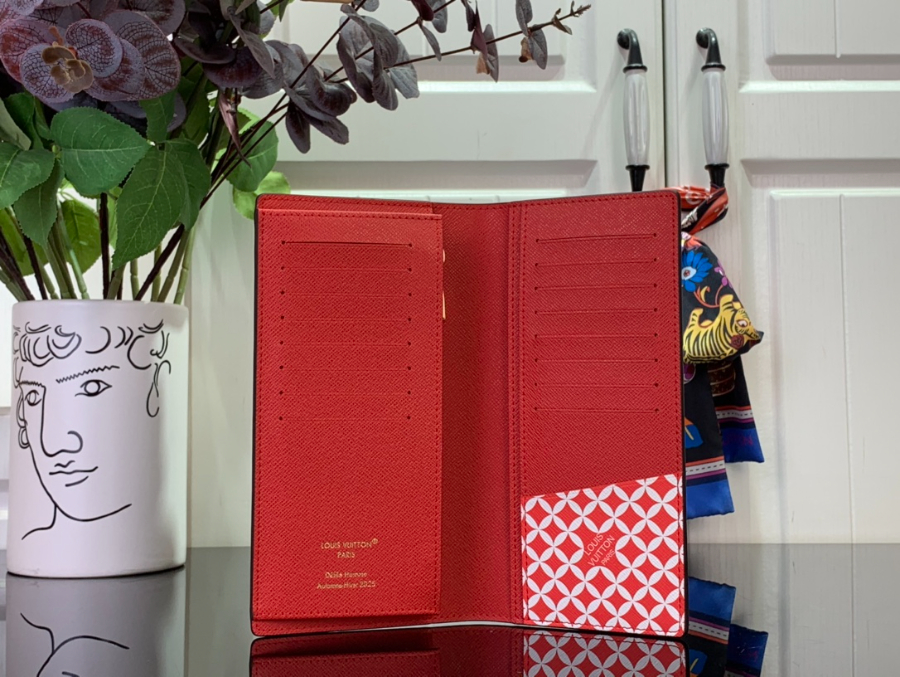 루이비통 브라짜 N40780 10192cm3.jpg