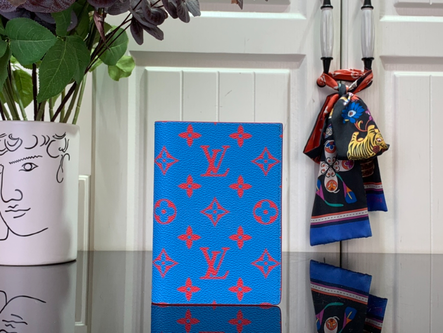 루이비통 패스포트 커버 M14770 10142.5cm 블루1.jpg