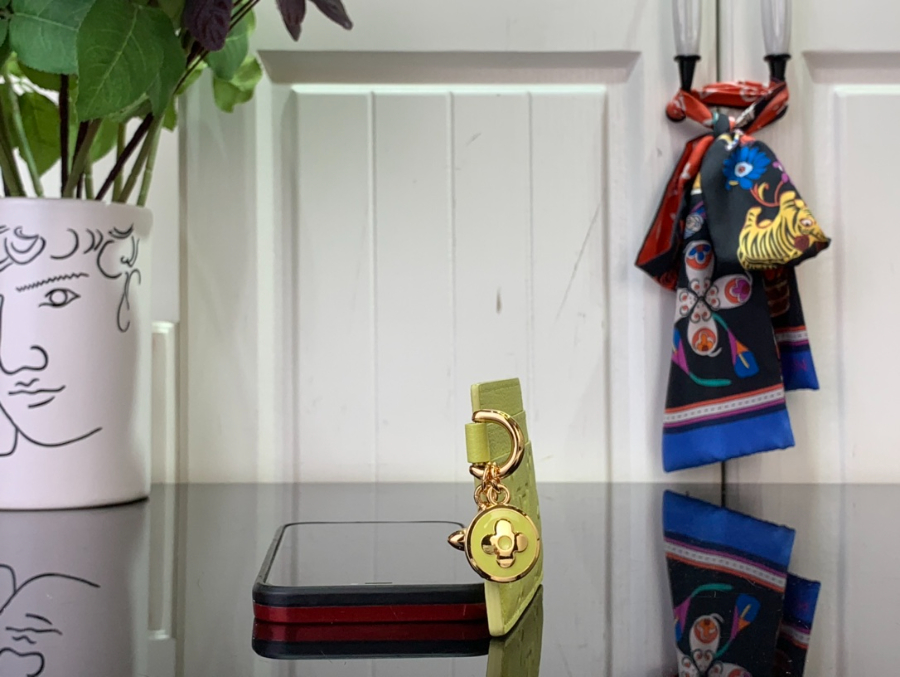 루이비통 LV 참 카드 홀더 M13649 7.30.310.2cm 라이트 옐로우4.jpg