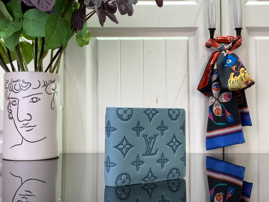 루이비통 멀티플 월릿 스카이 블루 M14802 11.591.5cm5.jpg