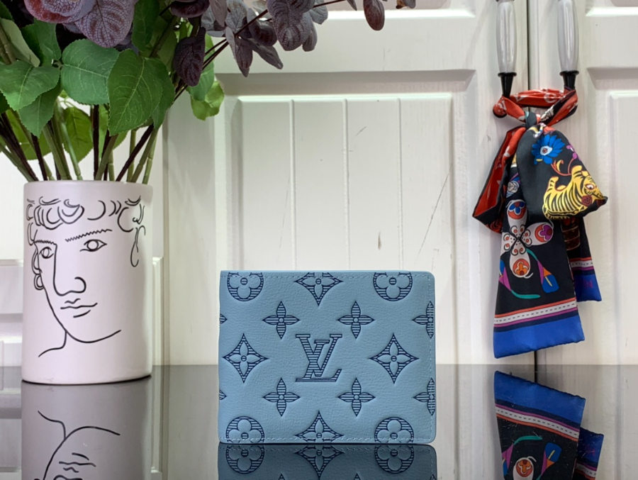 루이비통 멀티플 월릿 스카이 블루 M14802 11.591.5cm1.jpg