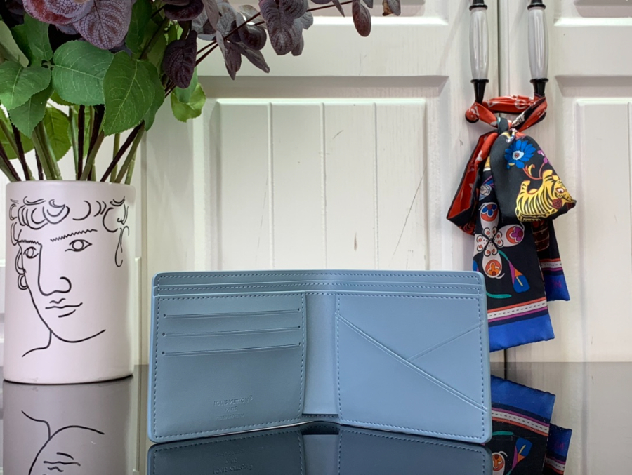루이비통 멀티플 월릿 스카이 블루 M14802 11.591.5cm3.jpg
