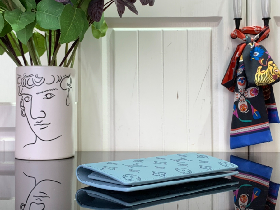 루이비통 브라짜 월릿 스카이 블루 M14788 19210cm5.jpg