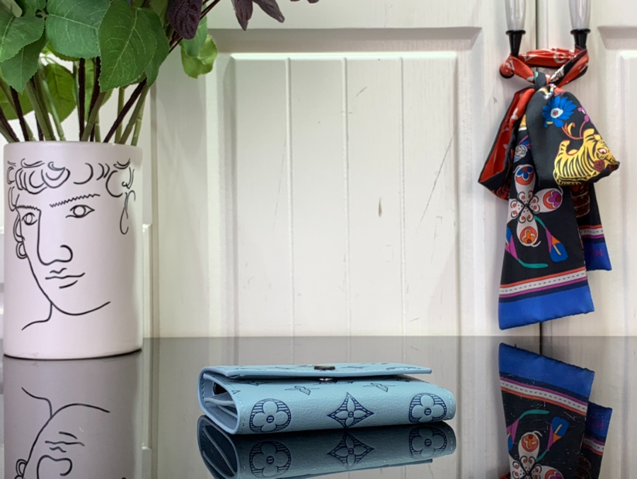 루이비통 빅토린 월릿 스카이 블루 M14793 11.592.5cm5.jpg