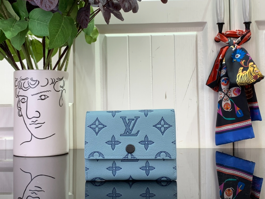 루이비통 빅토린 월릿 스카이 블루 M14793 11.592.5cm1.jpg