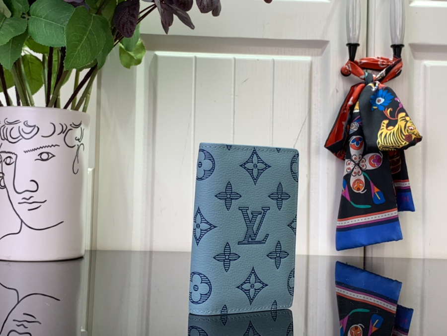 루이비통 포켓 오거나이저 스카이 블루 M14915 11.117.5cm2.jpg