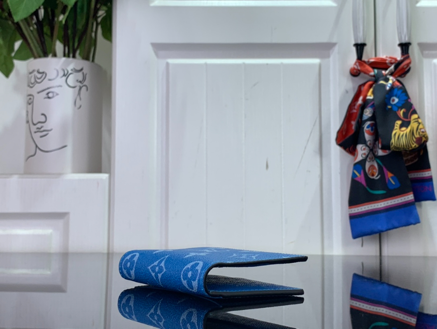 루이비통 타이가라마 카드지갑 M31041 8111cm 블루5.jpg