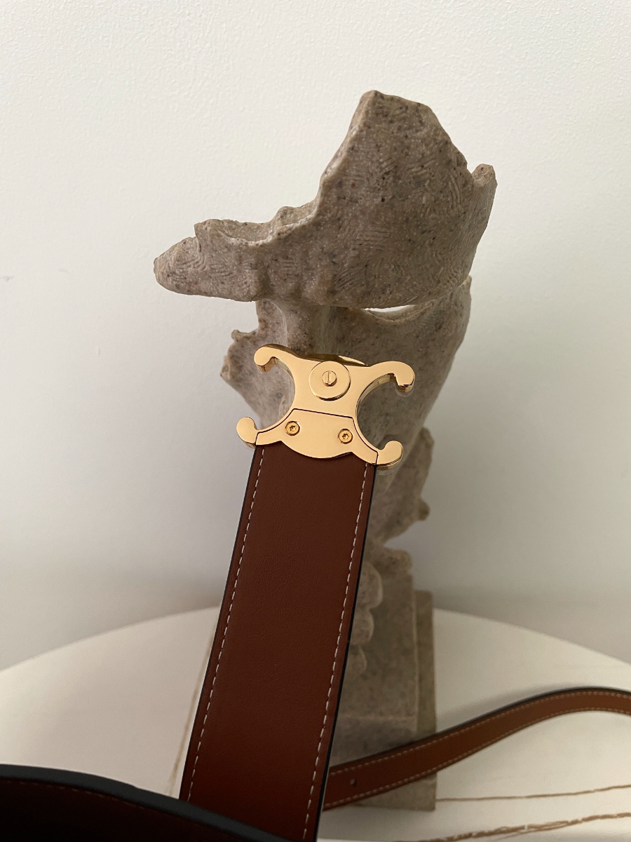 셀린느 스몰 루이즈 백 119173 161912cm 브라운07.jpg