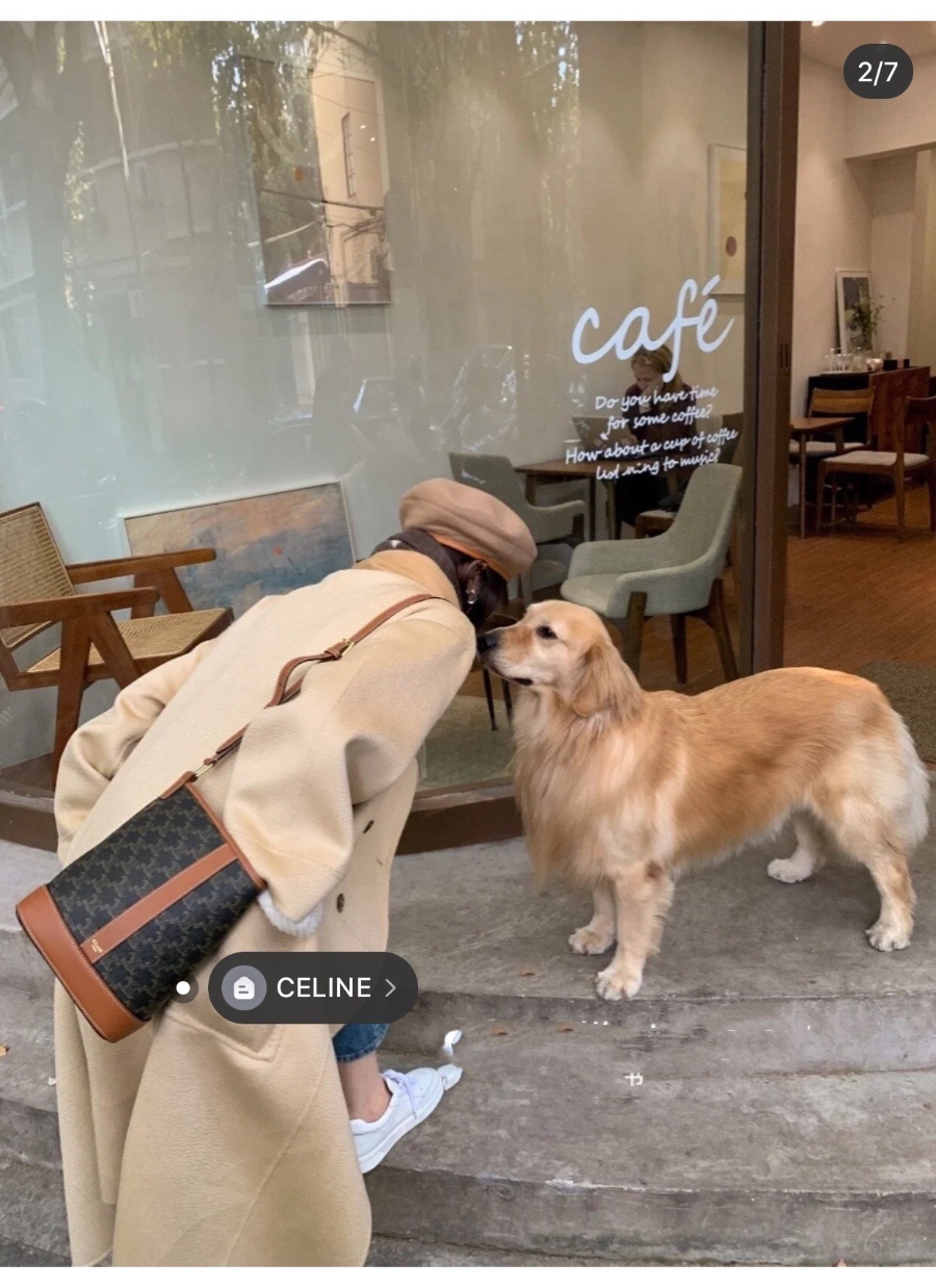 셀린느 스몰 버킷 트리옹프 캔버스 191442 302213cm02.jpg