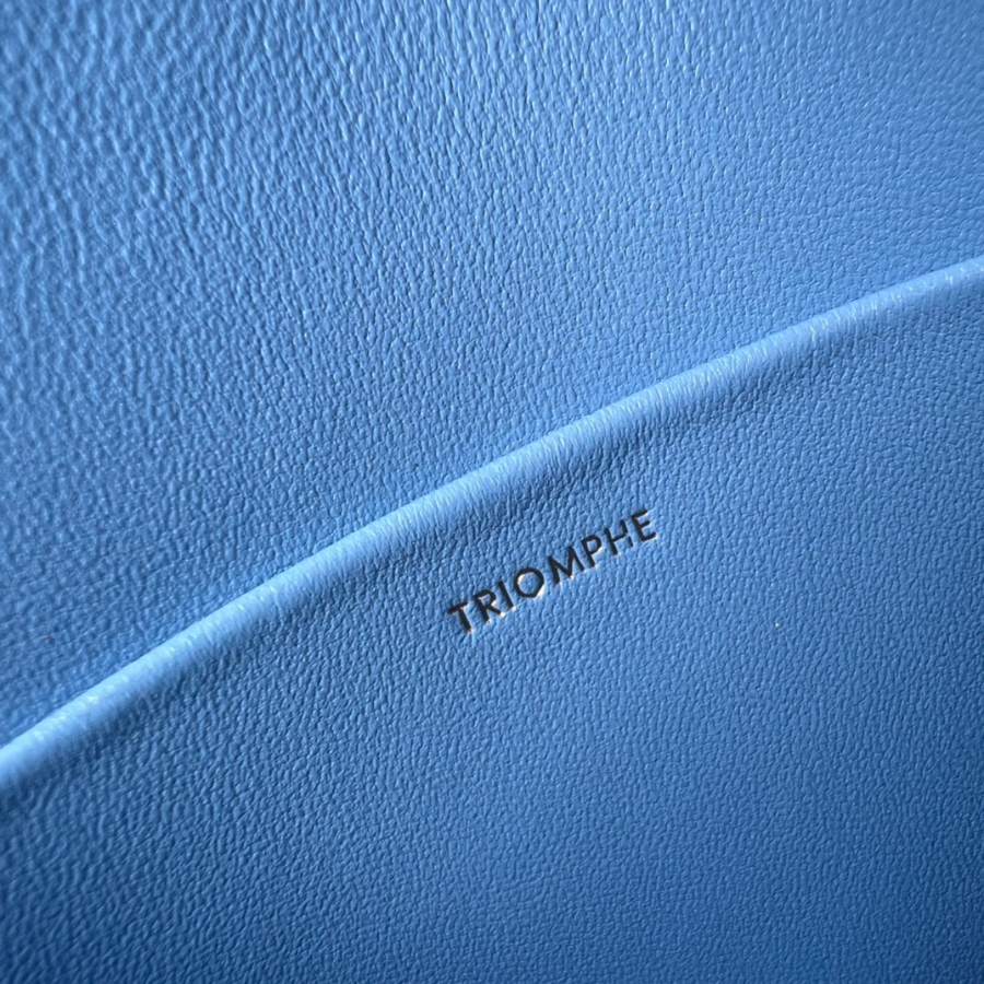 셀린느 틴 트리옹프 백 스몰 18.5146cm 188423 스카이 블루9.jpg