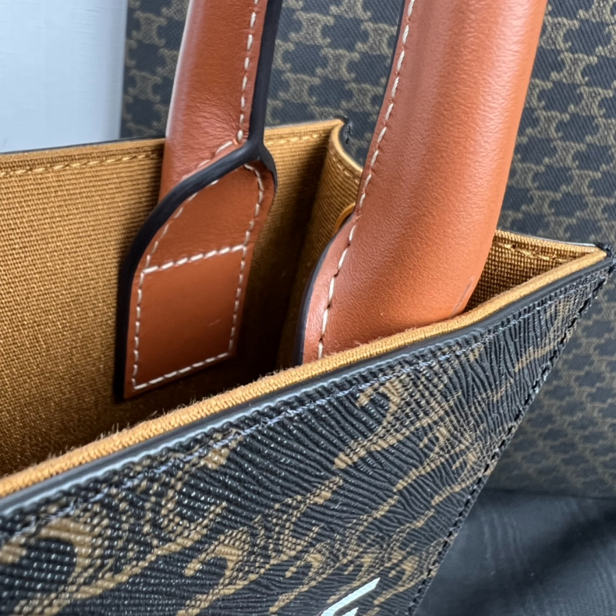 티컬 미니 카바스 프린트 트리옹프 캔버스 17214cm 1943728.jpg