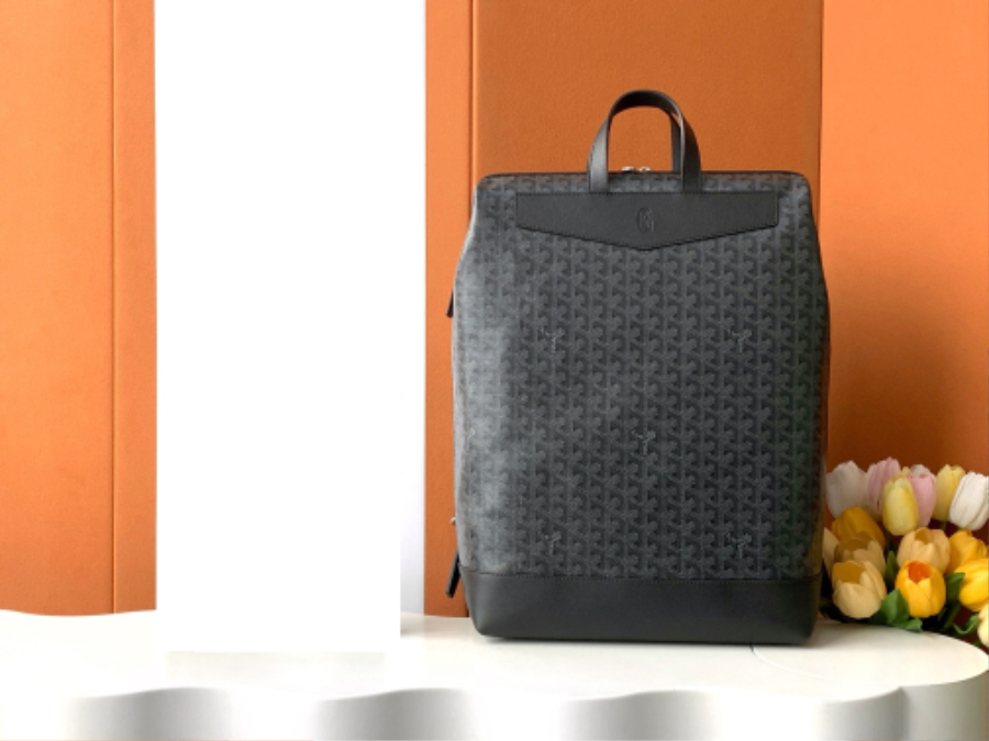 고야드 시스알팡 백팩 블랙 443314cm Goyard1.jpg